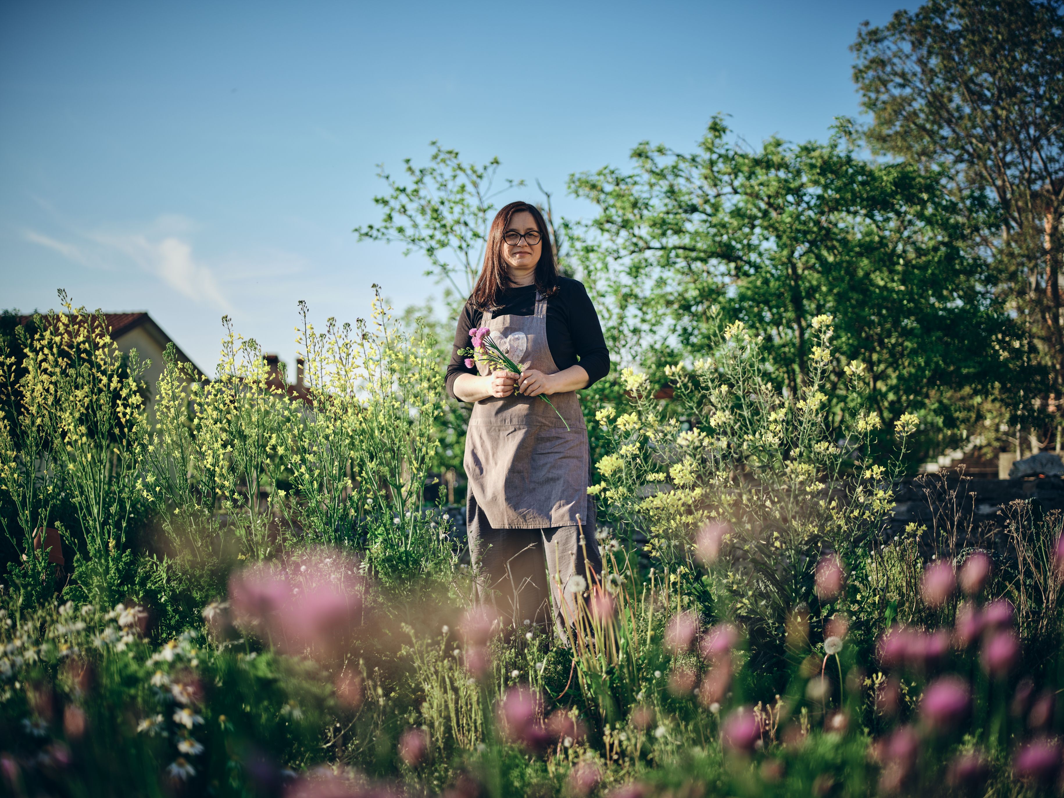 Harvesting herbs in the garden