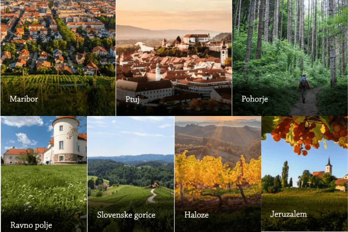 Štajerska je najboljša vinska regija v Evropi 2027