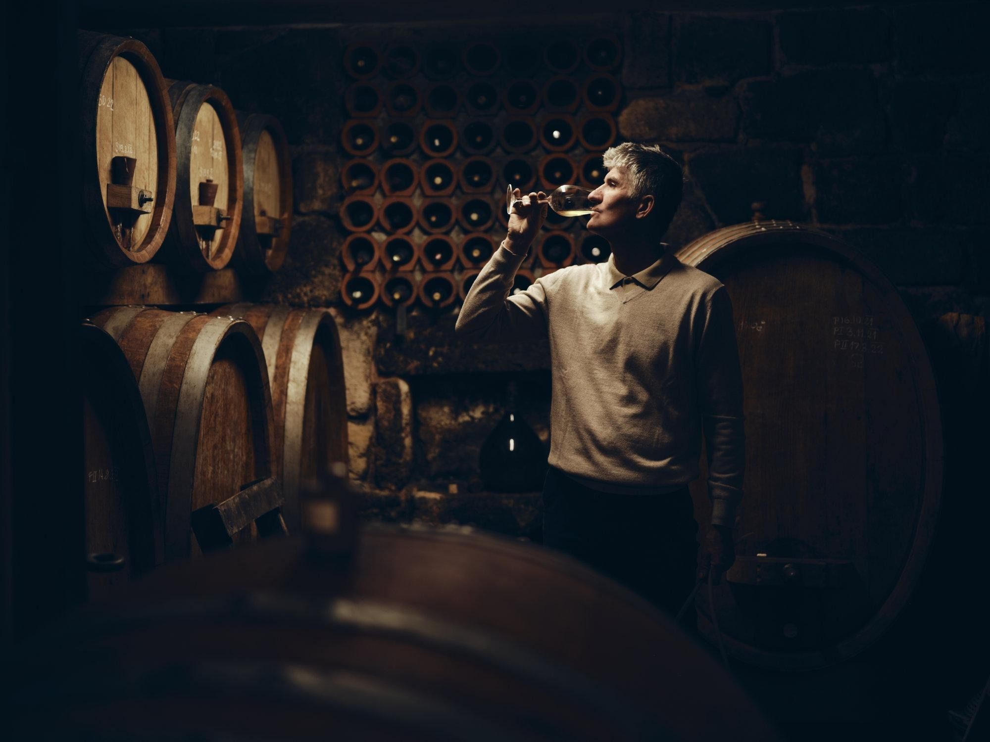 Šuman: Vino, ki se dela v vinogradih, ne v kleteh