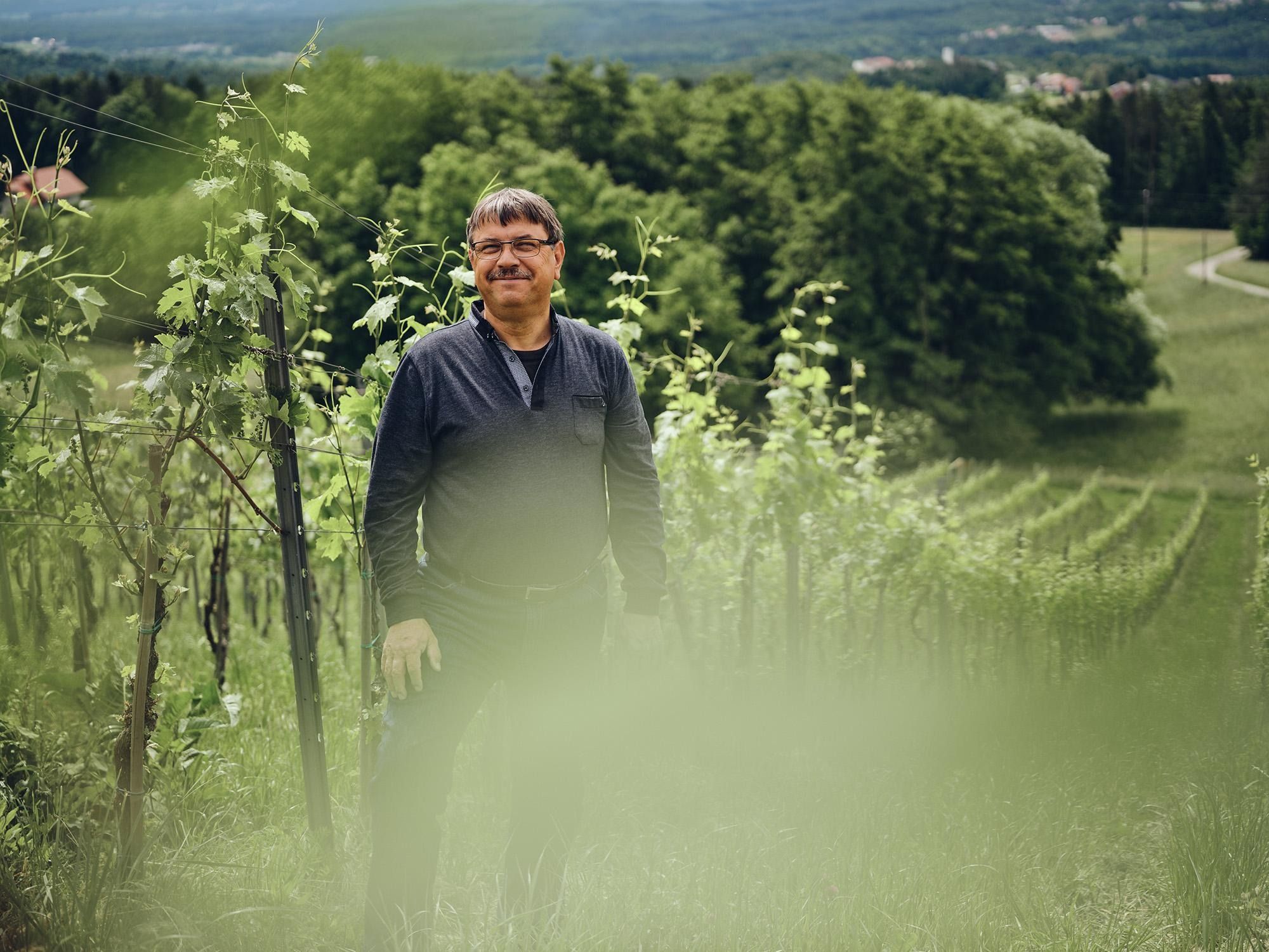 Zorjan v vinogradu