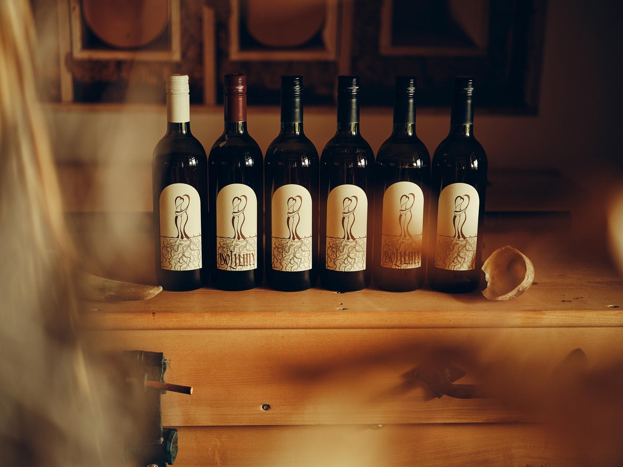 Zorjan vino