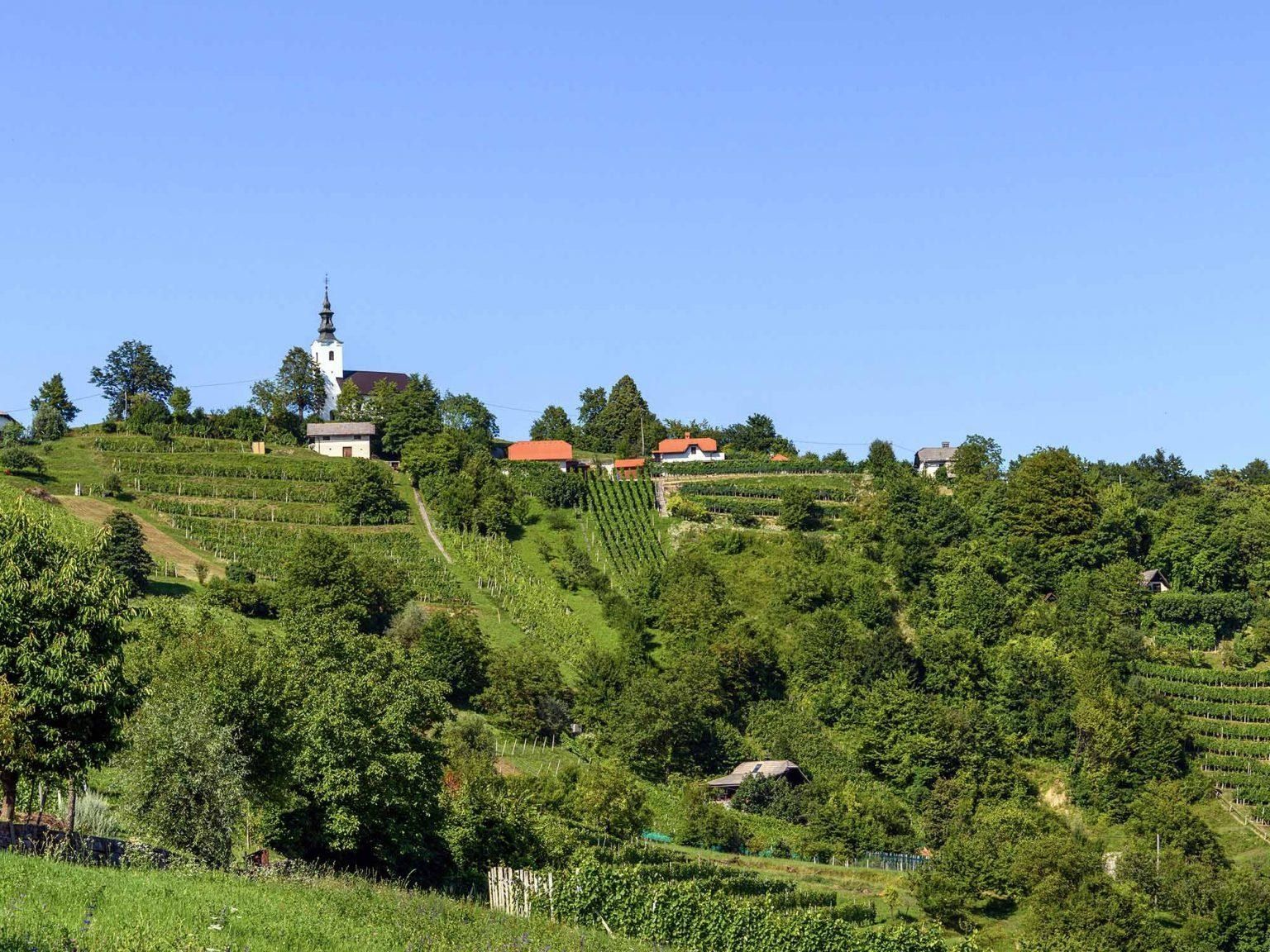 Dolenjska