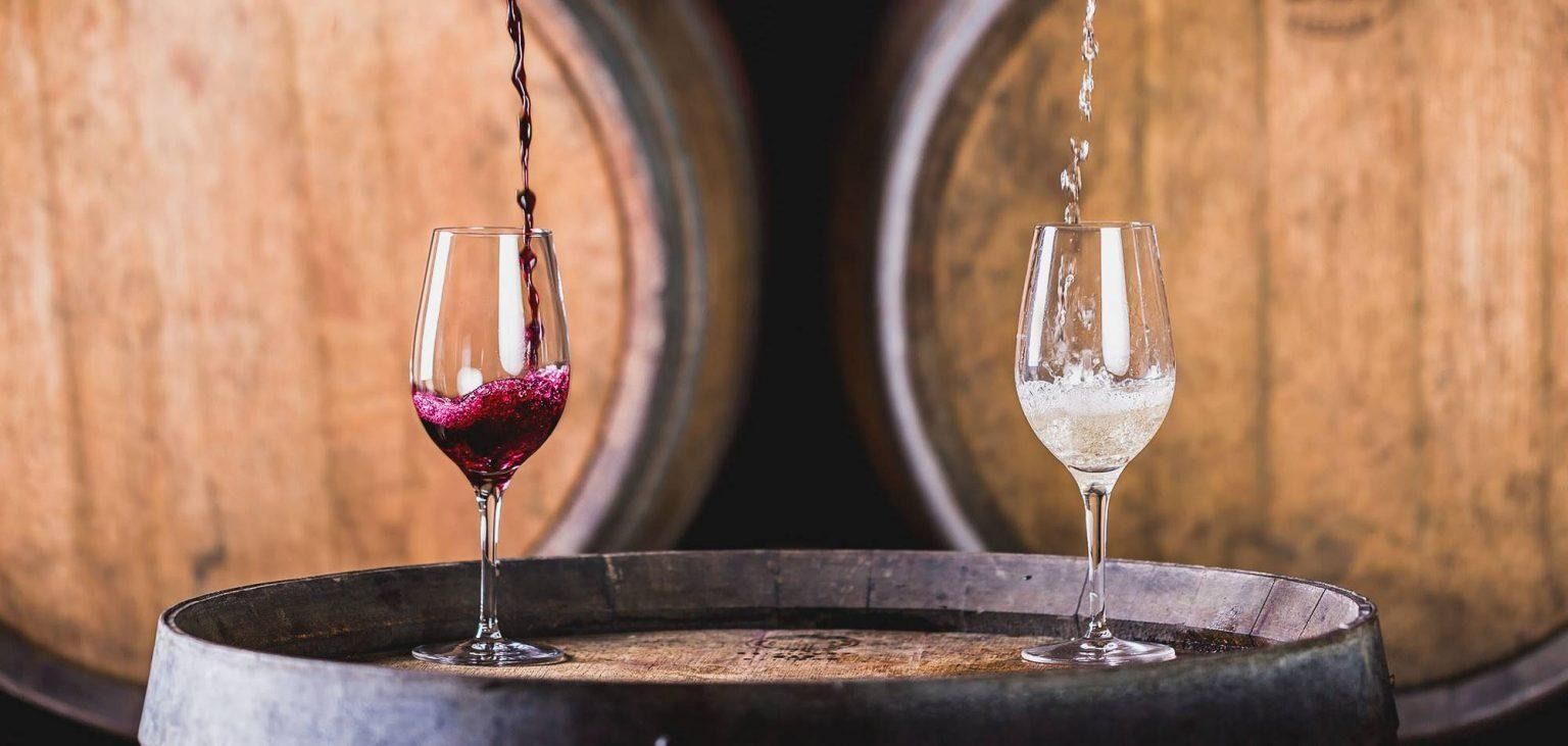 Vino