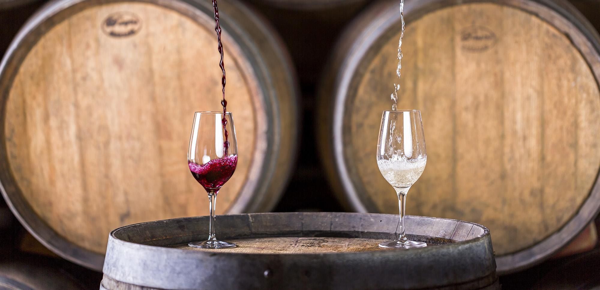 Vino