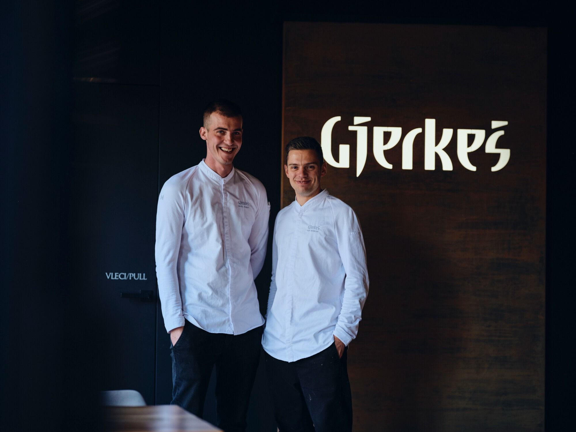 Slika v galeriji