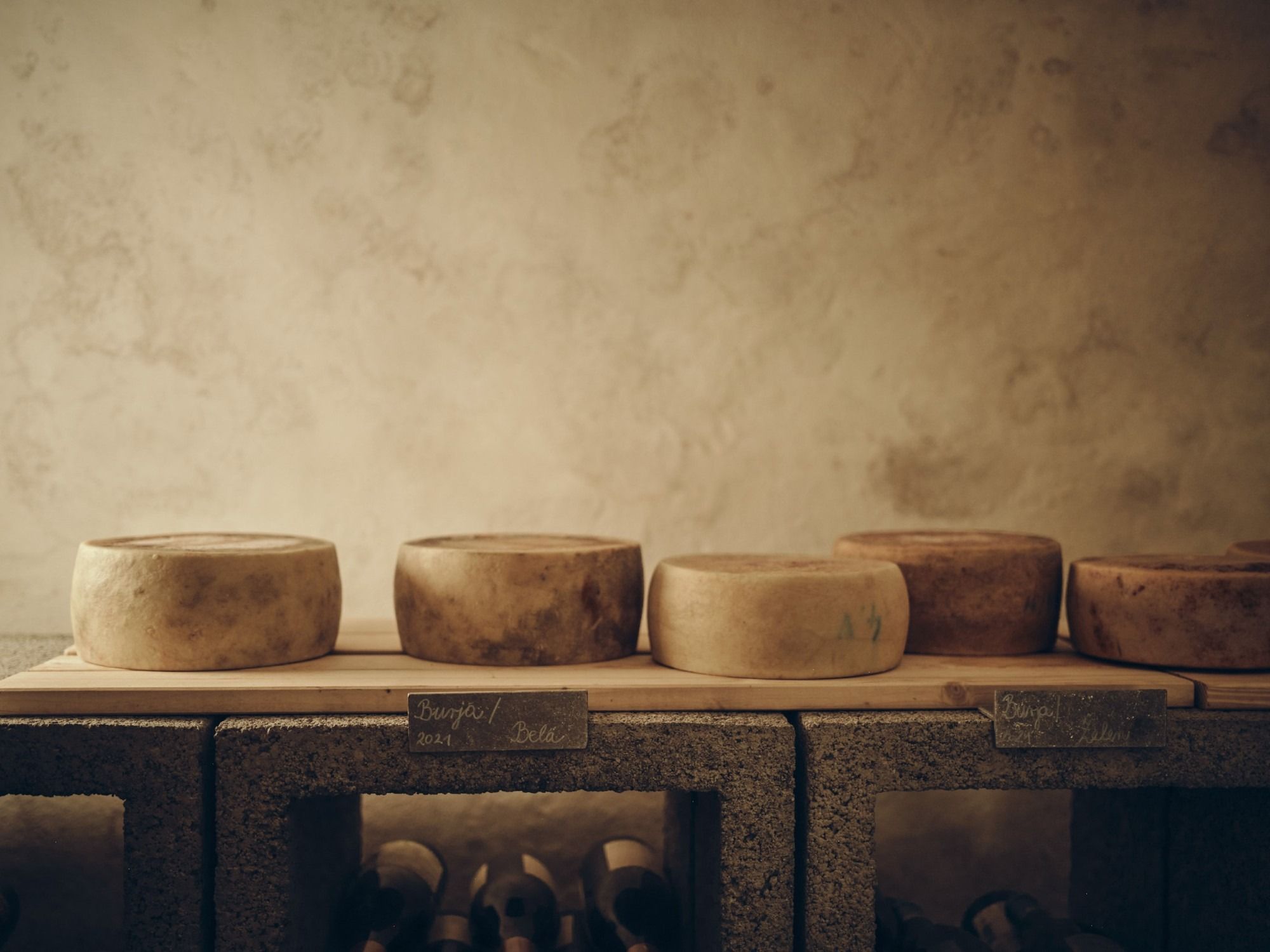 Slika v galeriji