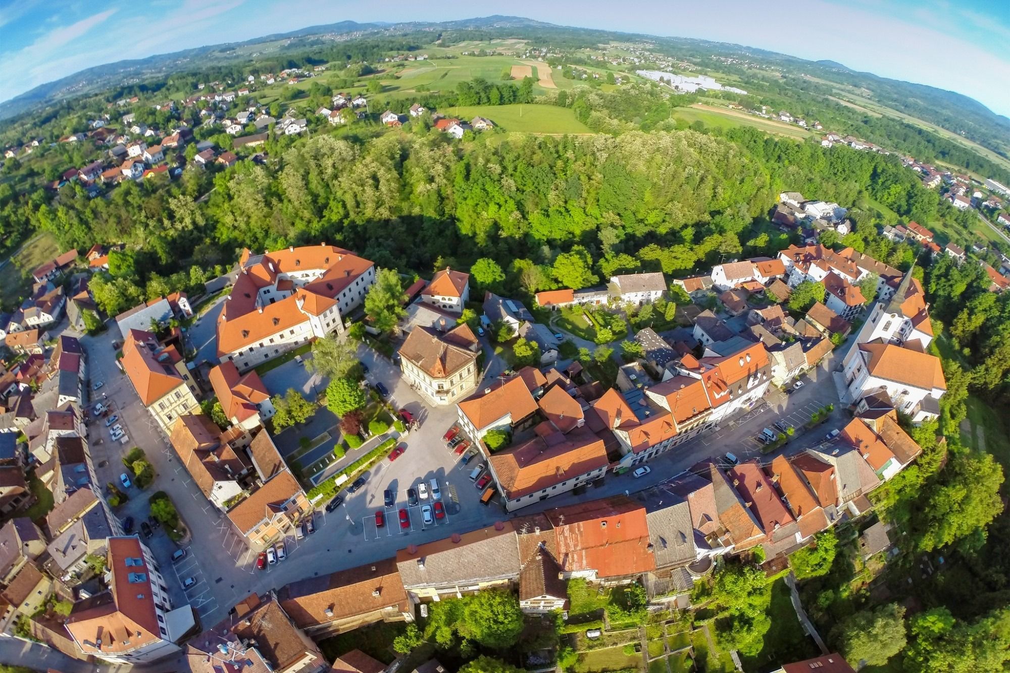 Slika v galeriji