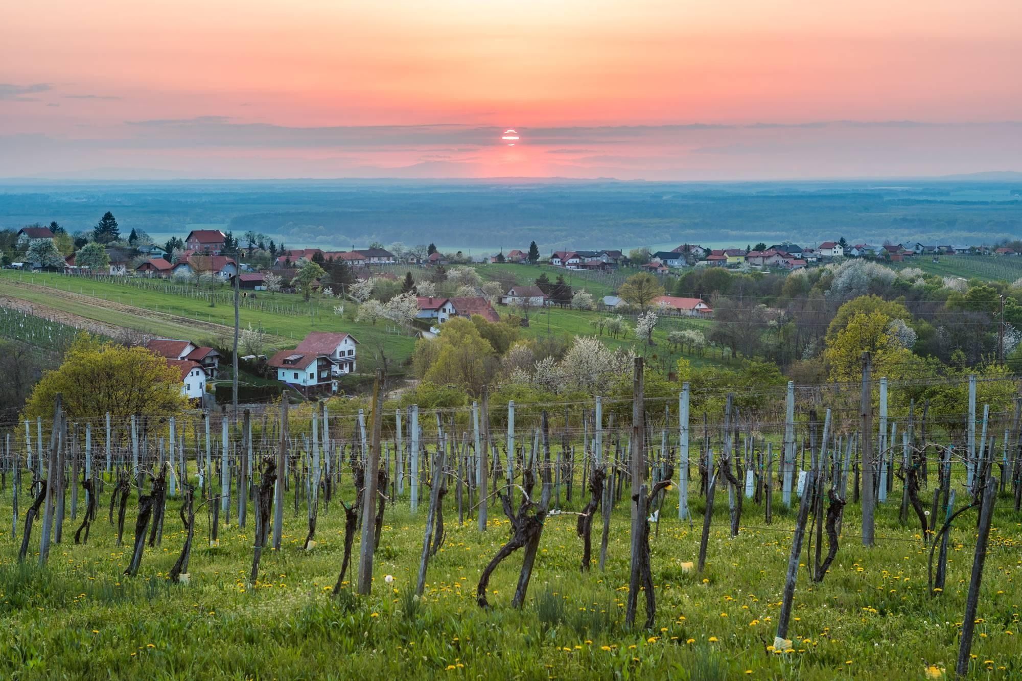 Lendavski griči