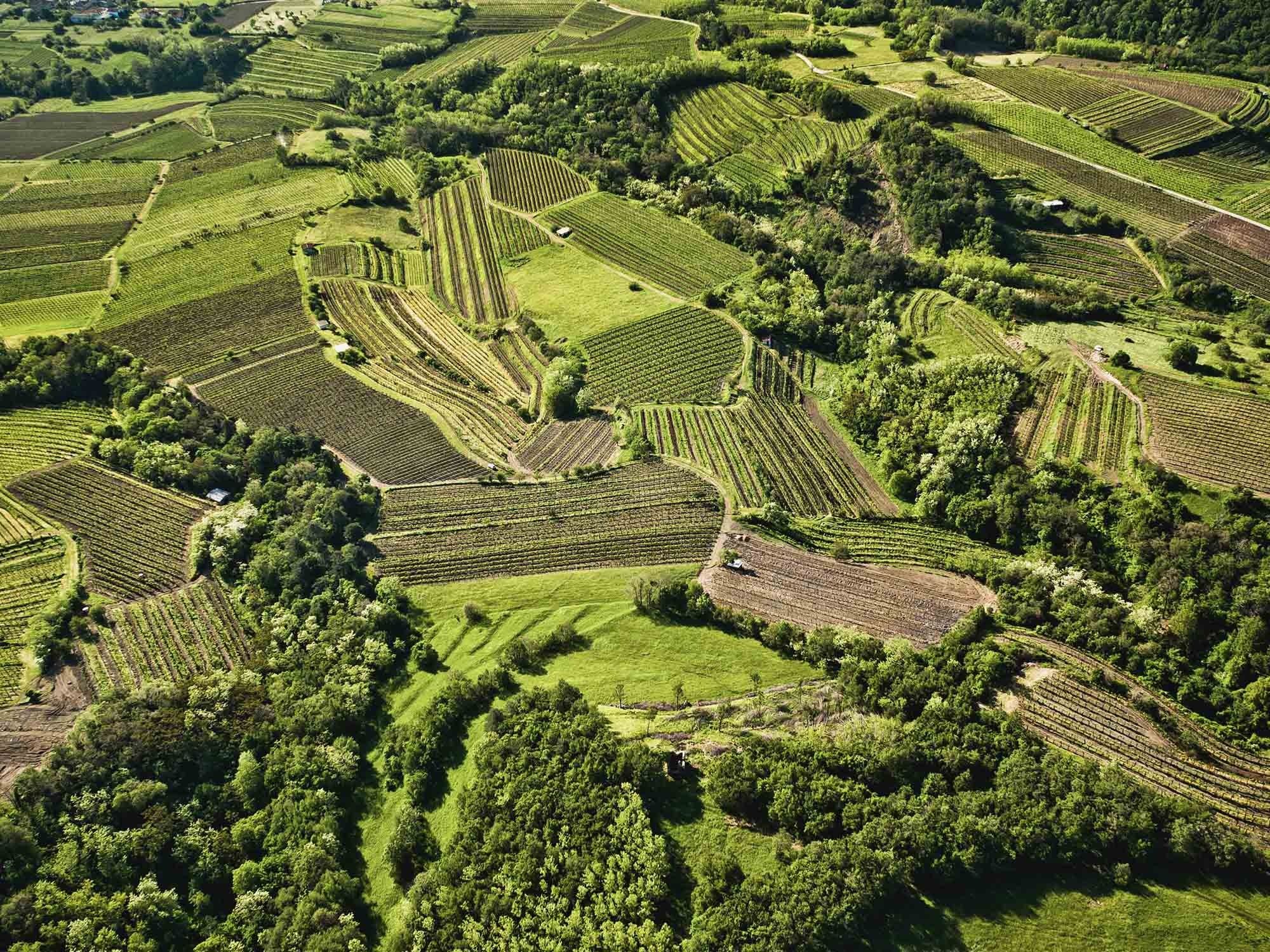 Vipavska dolina