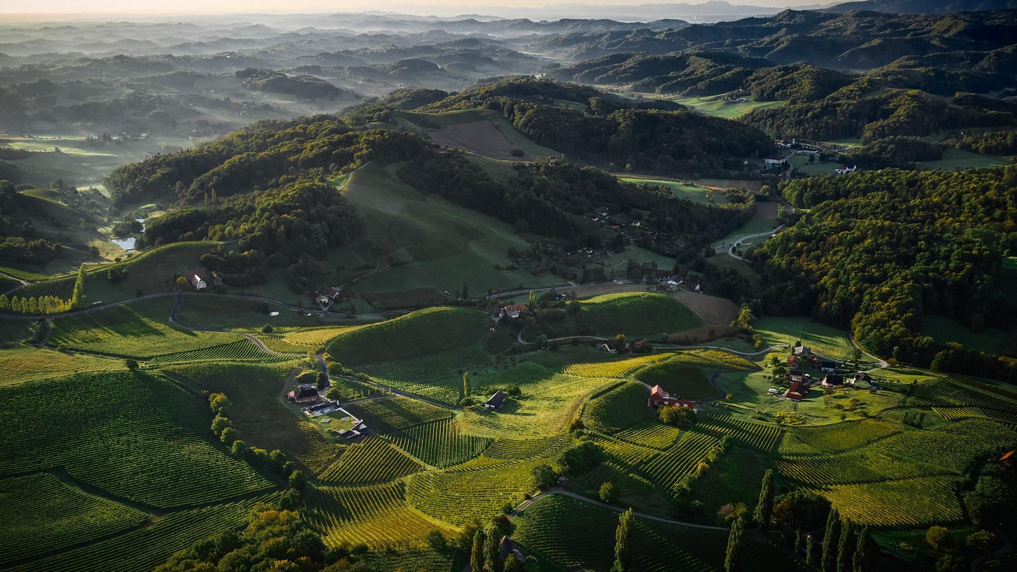 Svečina