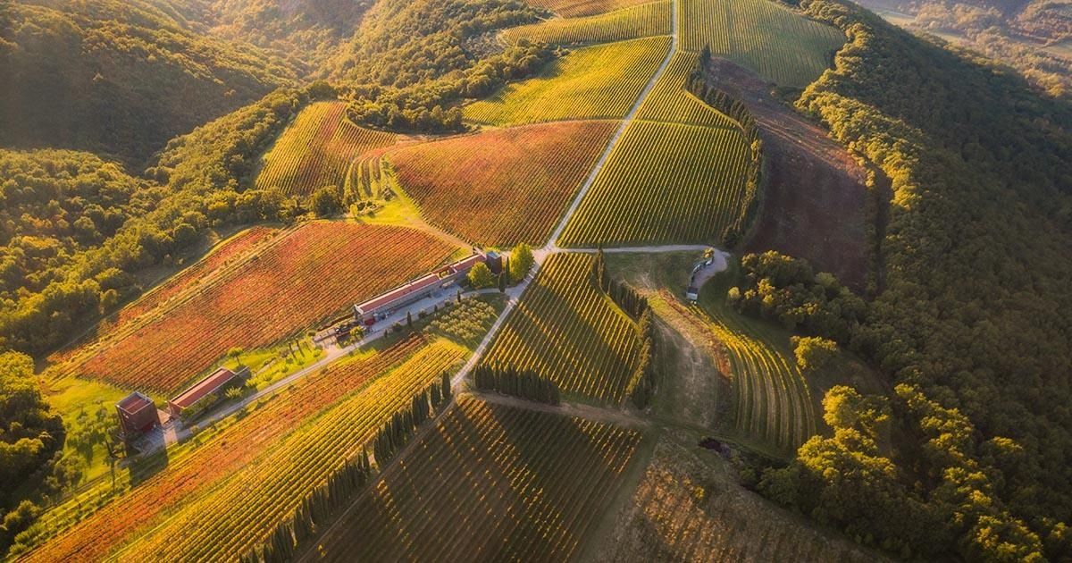 Slovenija, vinorodna dežela