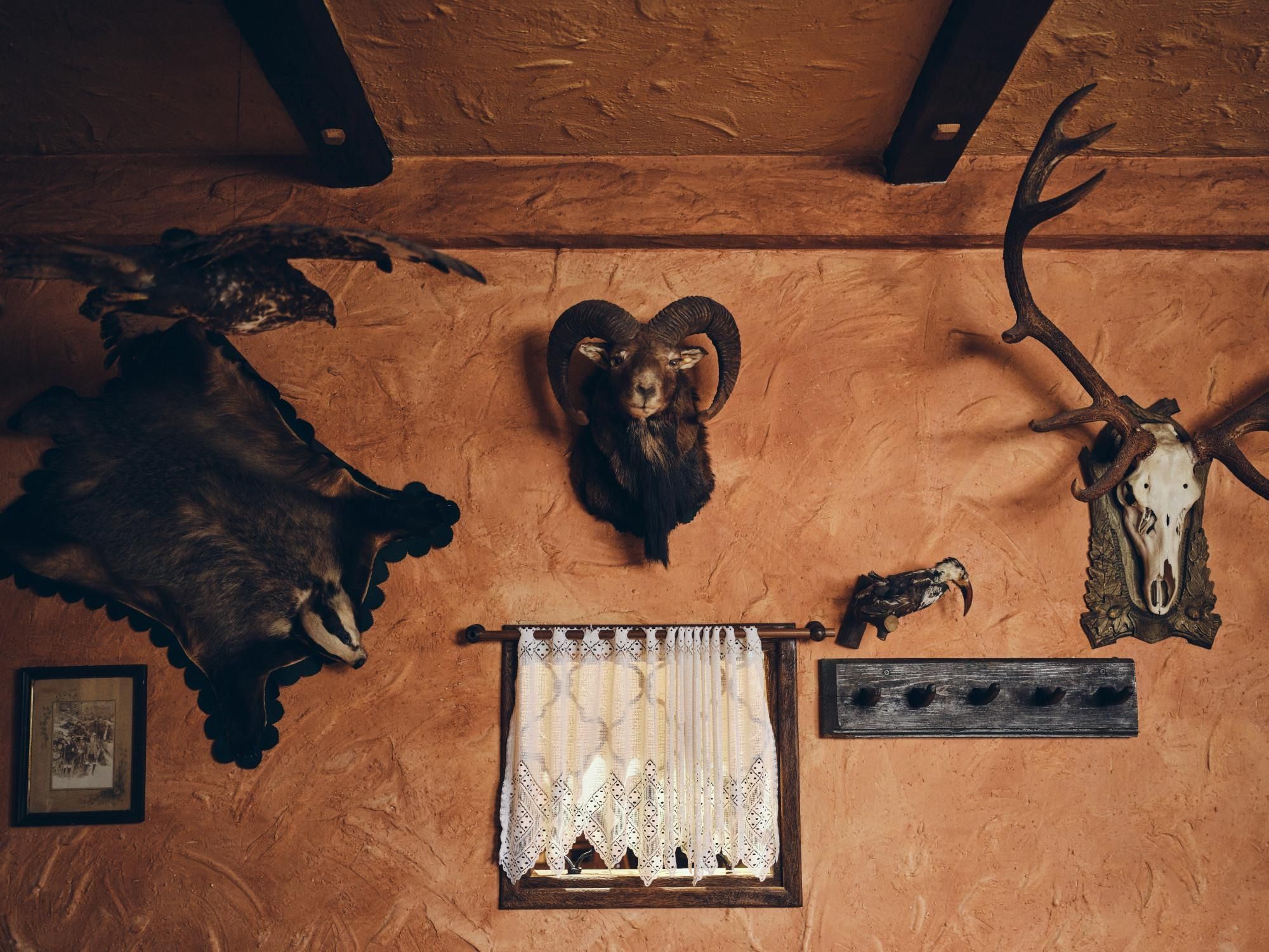 game heads on the wall of the inn