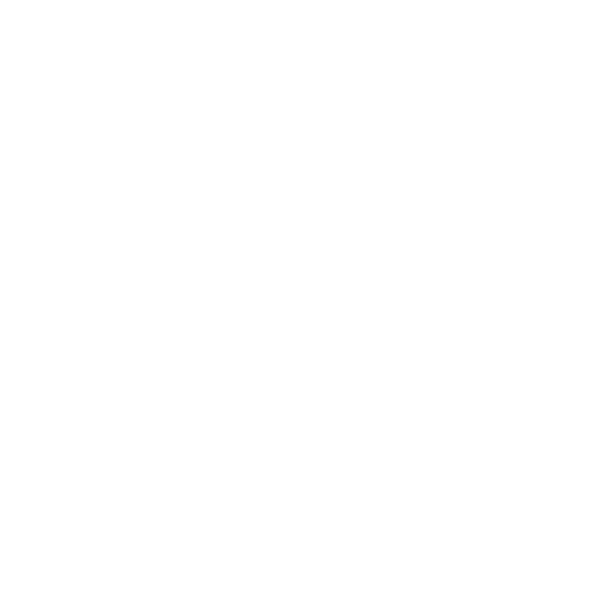 Slovenia Unique Experience