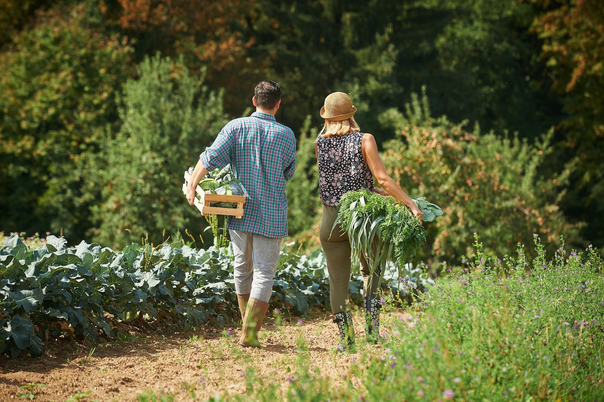 Slovenia Green Cuisine