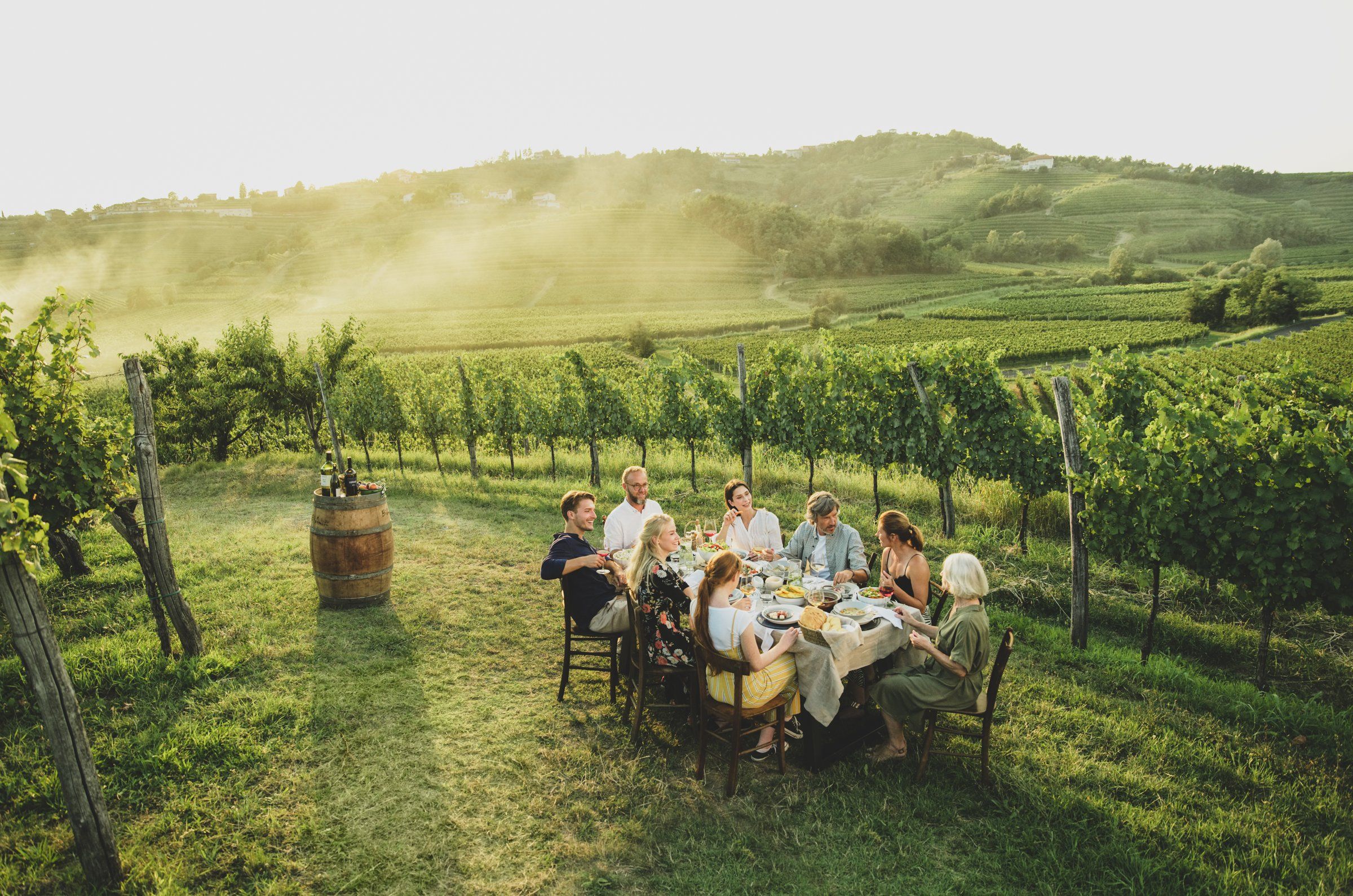 Druženje ob mizi med vinogradi v Brdih