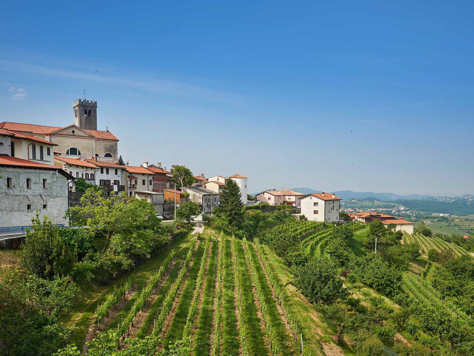 Goriška brda